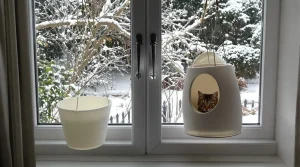 Arrêtez de jeter ce petit pot en plastique : il devient la mangeoire préférée des oiseaux cet hiver